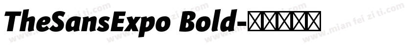 TheSansExpo Bold字体转换